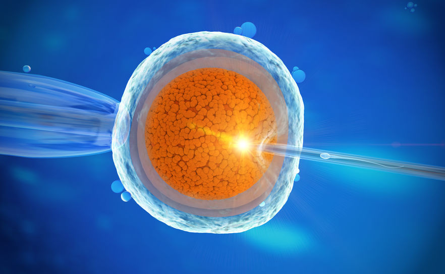 Viable Embryos Allegedly Discarded By Monash Ivf Turner Freeman